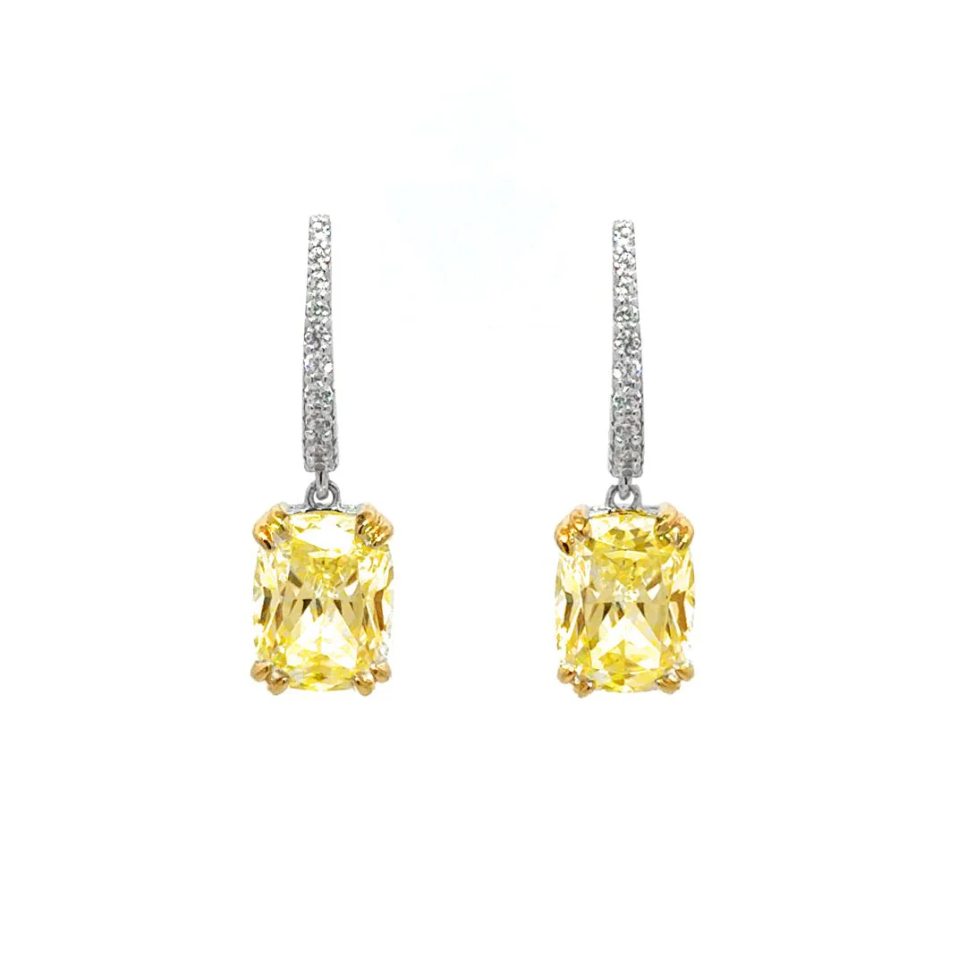 Classic Oval-Cut Leverback Drop Earrings